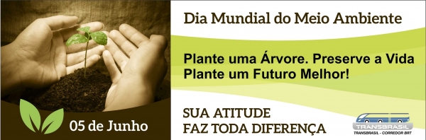 Faixa Meio Ambiente 